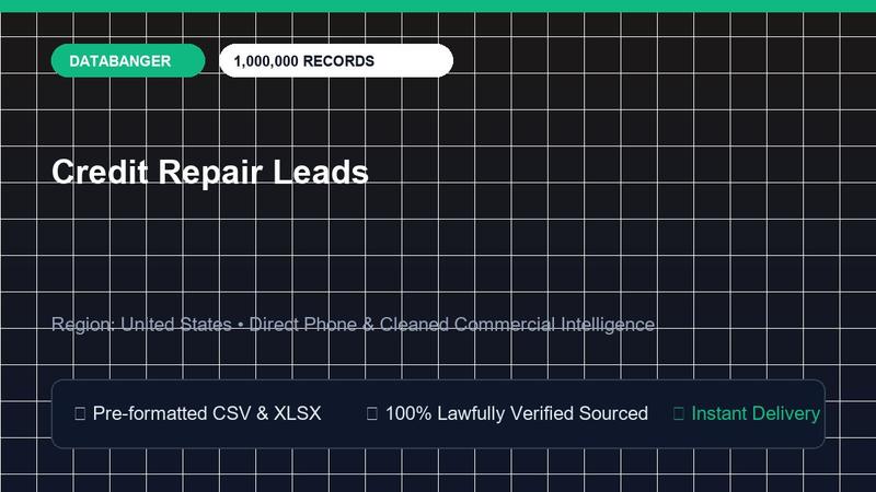 Credit Repair Leads