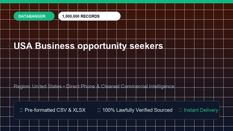 USA Business opportunity seekers